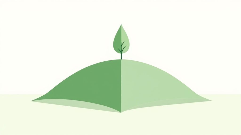 Simple illustration of a tree on a green hill with distinct shades and a light background.