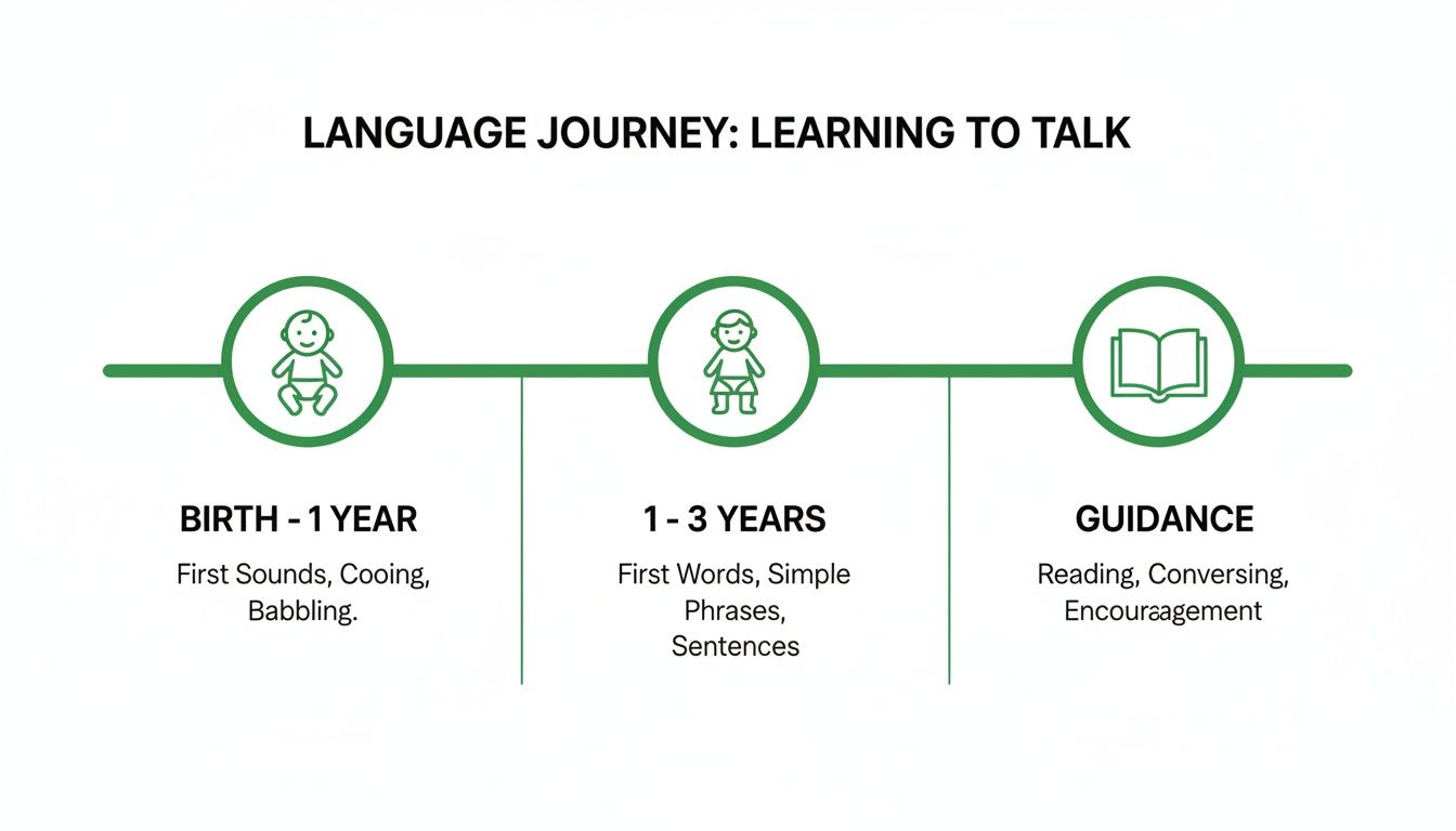 Timeline illustrating a child's language journey: from first sounds to sentences, with guidance.