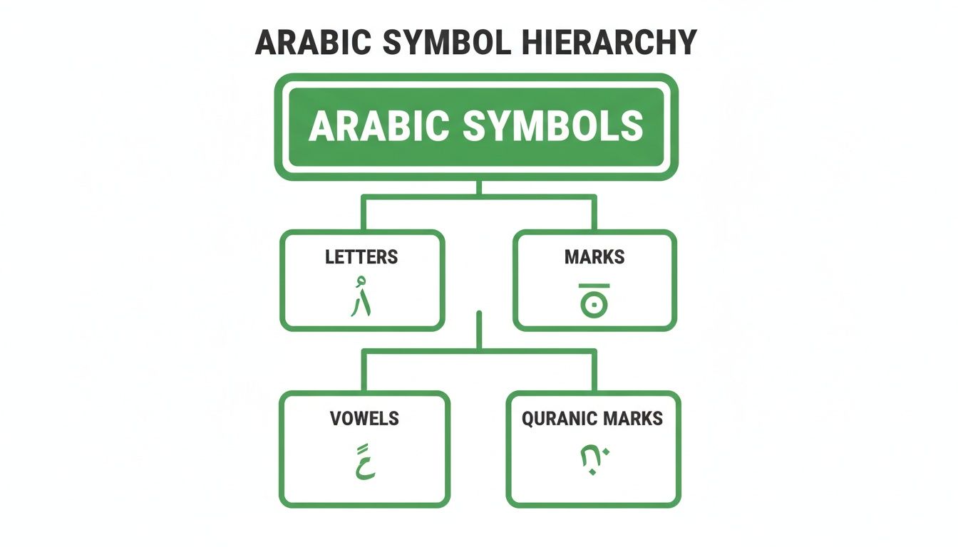 A flowchart illustrating the hierarchy of Arabic symbols, categorizing them into letters, marks, vowels, and Quranic marks.